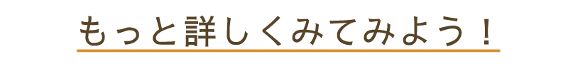 もっと詳しく見てみよう!