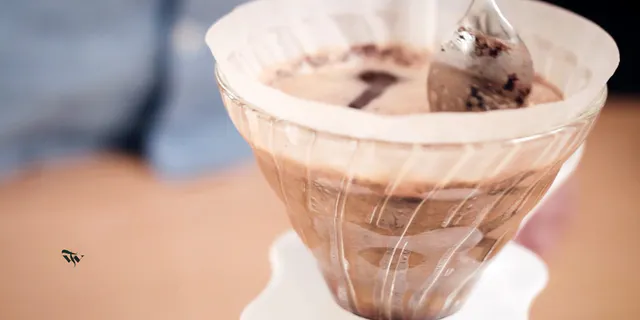 【Tim Wendelboe /ティム・ウェンデルボー】  ドリップの方法と分量