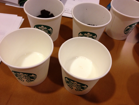 スターバックスコーヒーの期間限定コーヒーセミナー「フードペアリング Coffee Meets Chocolate編」 ミルク