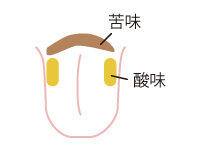 舌が苦味・酸味を感じる場所